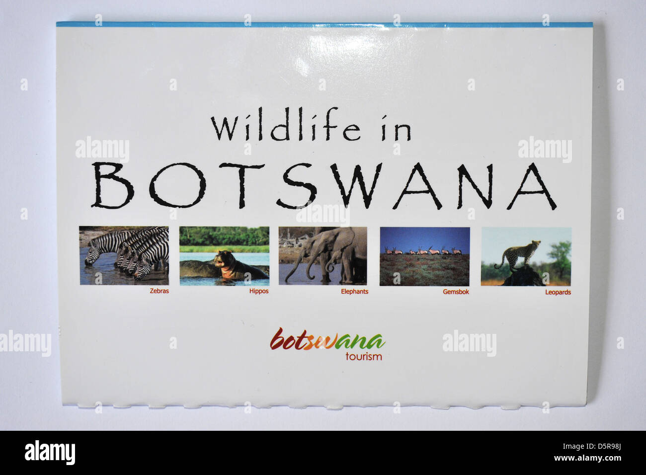 Bilder von Botswana Tierwelt Postkarten. Stockfoto
