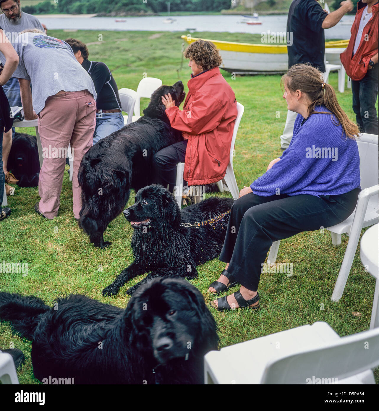 Menschen mit Neufundland Rettungshunde Bretagne Frankreich Europa Stockfoto