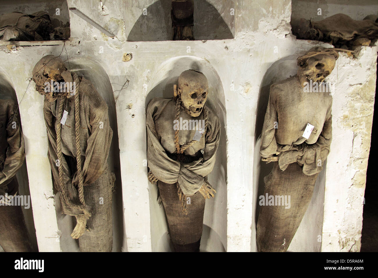 Mumifizierte Leichen im Convento dei Cappuccini in Palermo Sizilien Stockfoto