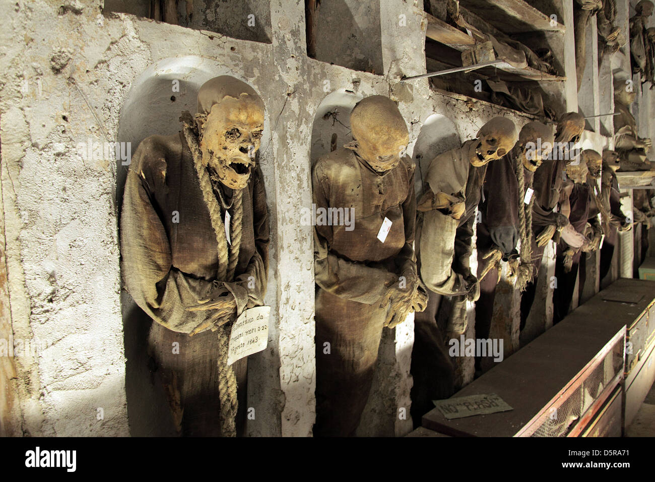 Mumifizierte Leichen im Convento dei Cappuccini in Palermo Sizilien Stockfoto