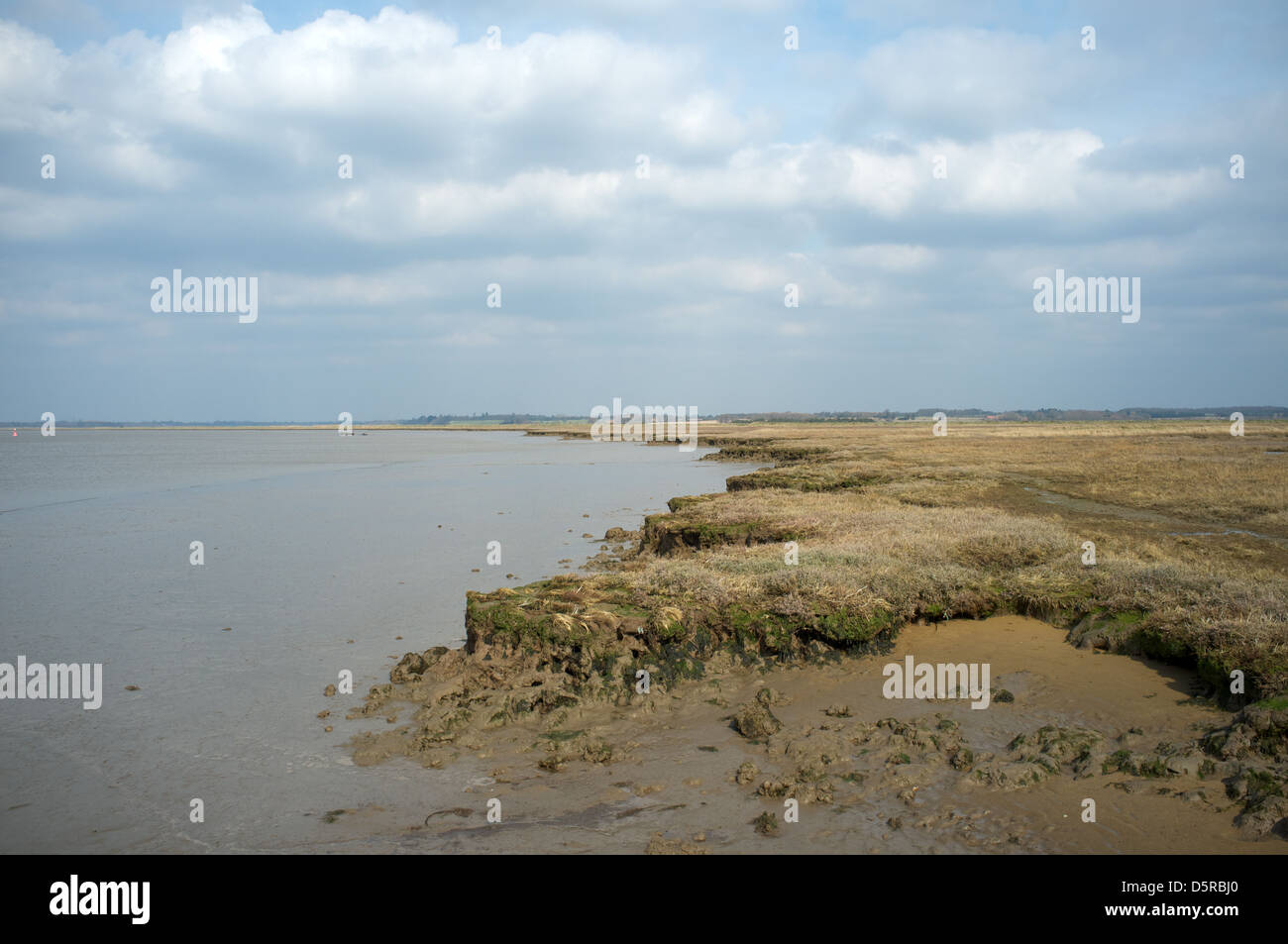 Salzwiesen neben dem Fluss Deben, Bawdsey Fähre, Suffolk, UK. Stockfoto