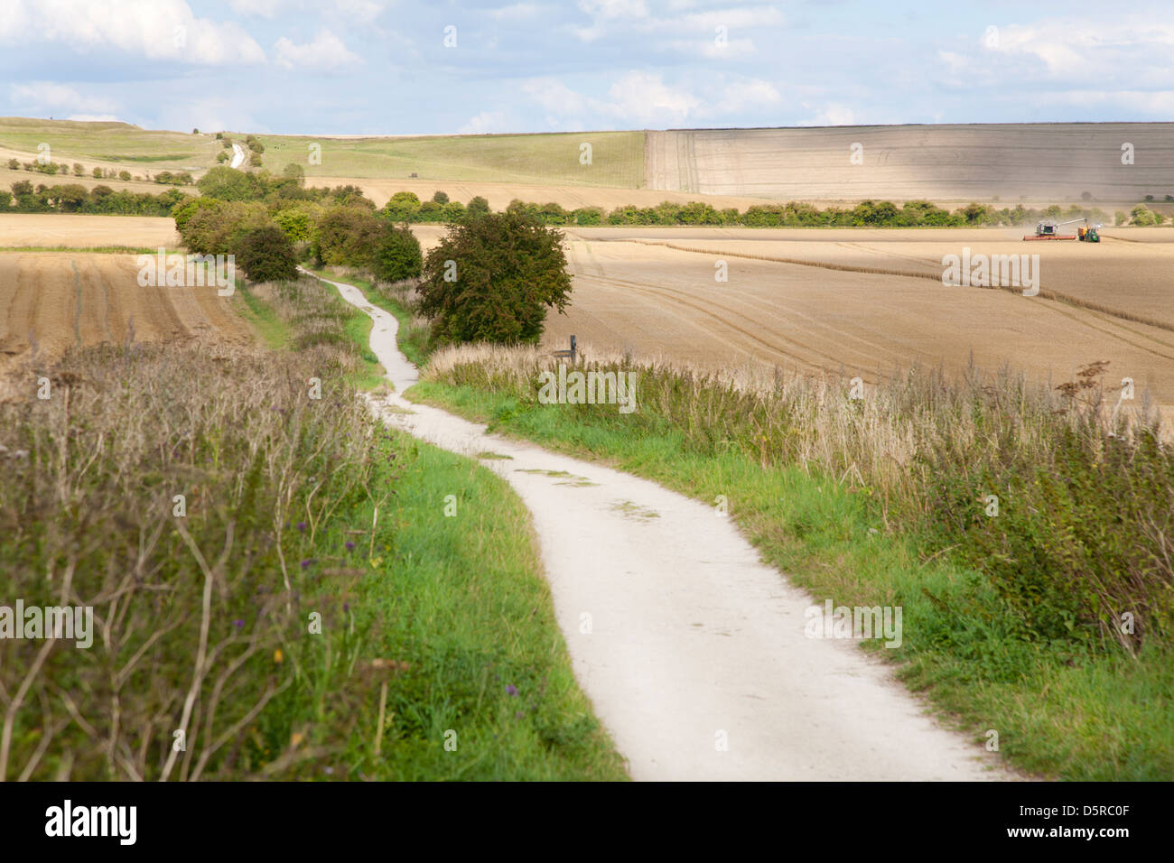 Die Ridgeway National Trail führt ostwärts zu Uffington Fort Hill in Oxfordshire UK durchläuft abgeernteten Weizenfelder Stockfoto