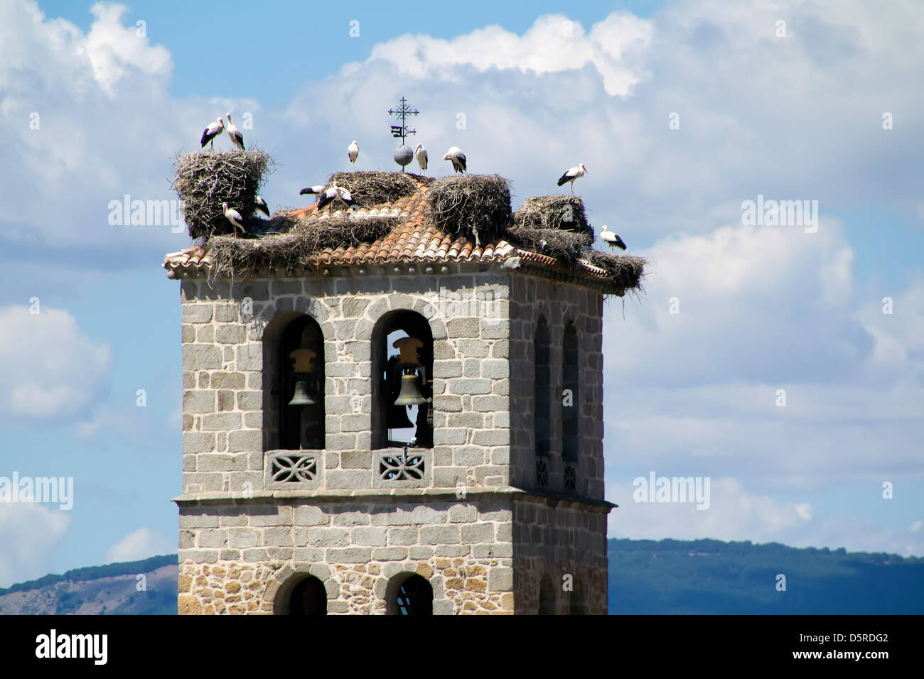 Turm der Kirche in Manzanares el Real mit Störchen Stockfoto