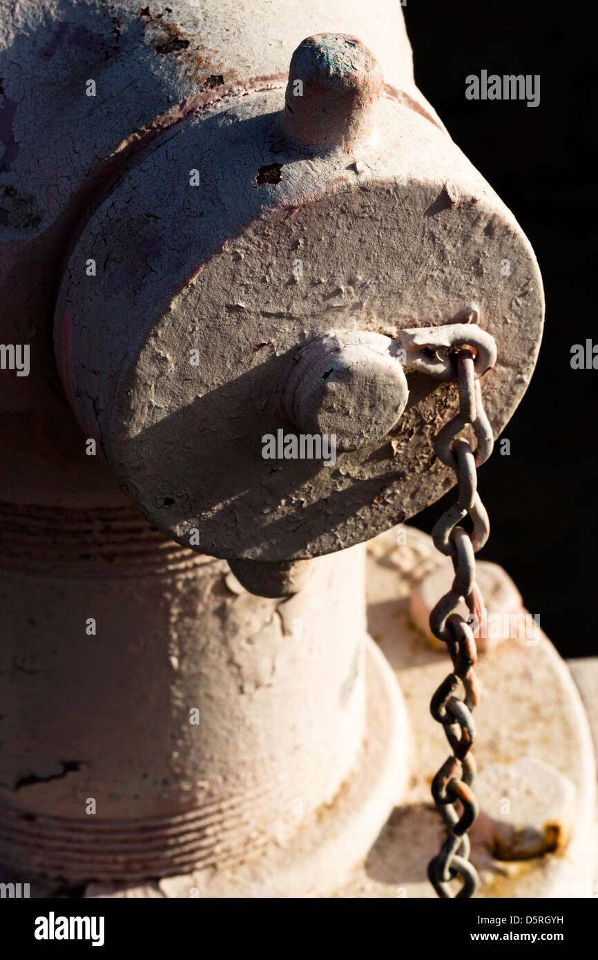 Nahaufnahme eines Hydranten Cap in einem RV Park in Mission, Texas Stockfoto