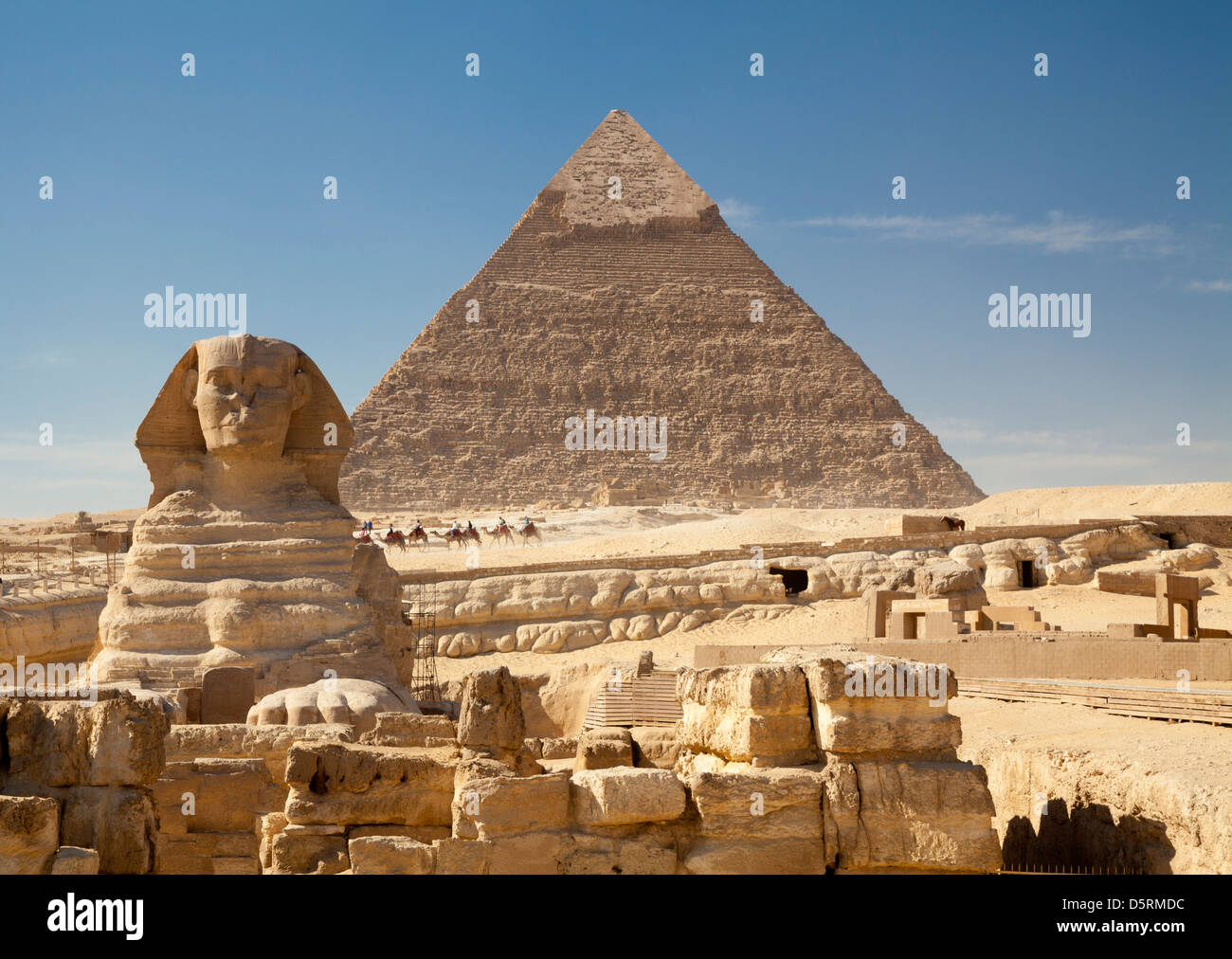 Die große Sphinx mit der Pyramide von Khafre hinter und eine Reihe von Kamelen von Gizeh in Ägypten Stockfoto