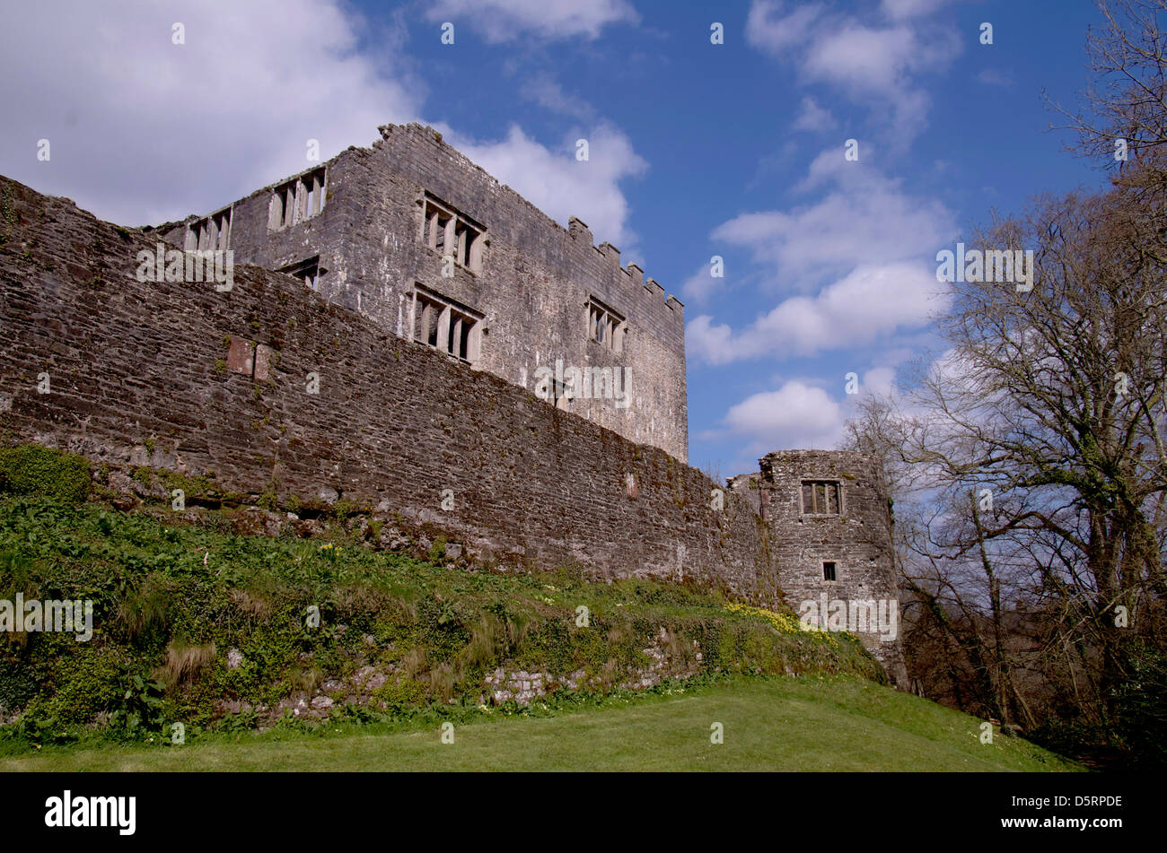 Berry Pomeroy Castle, nahe dem Dorf Berry Pomeroy, South Devon. Stockfoto