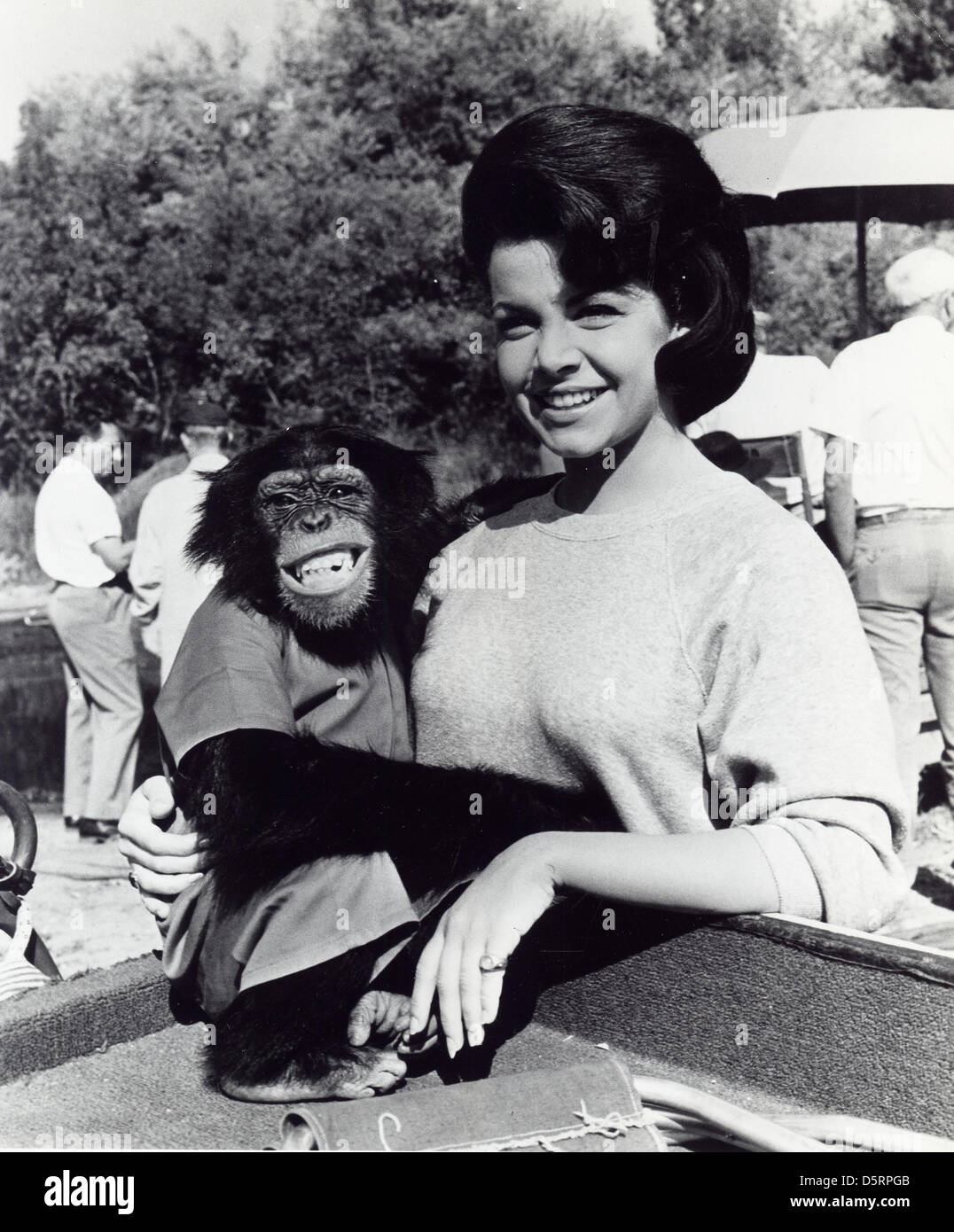 ANNETTE FUNICELLO, ein Gründungsmitglied der Mickey Mouse Club-Foto - Datei und Bildschirm-Symbol, in einer Reihe von 60er 'Strand' Filme mitgespielt, starb Montag, 8. April 2013 im Alter von 70 Jahren. Funicello erkrankte sie an Multipler Sklerose im Jahr 1987 und wurde ein Verfechter für die Behandlung der Krankheit. Bild: 2. April 2012 - Hollywood, Kalifornien, USA - "The Monkey's Uncle" Publicity Foto von ANNETTE FUNICELLO. (Kredit-Bild: © Globe Photos/ZUMAPRESS.com) Stockfoto