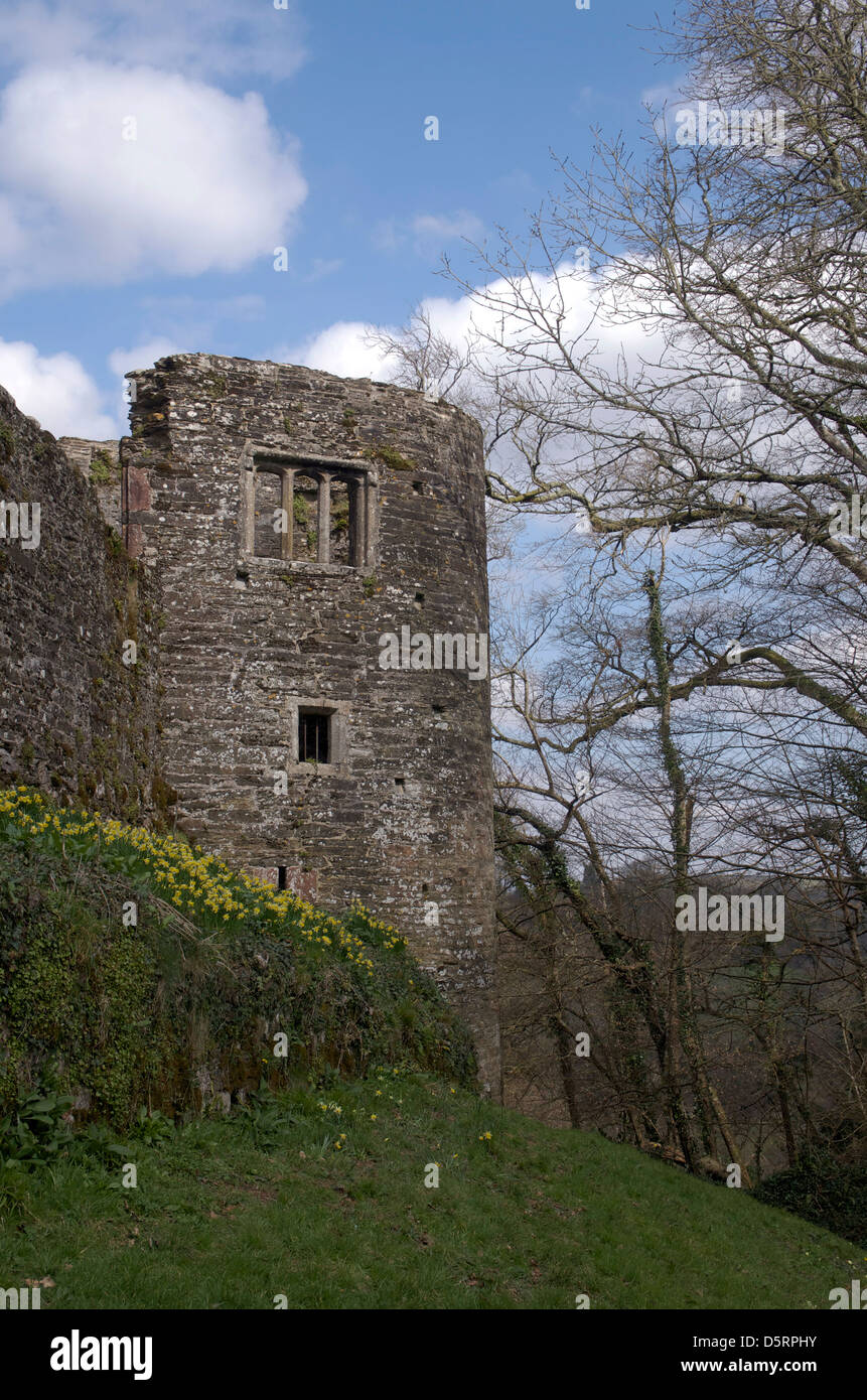 Berry Pomeroy Castle, nahe dem Dorf Berry Pomeroy, South Devon. Stockfoto