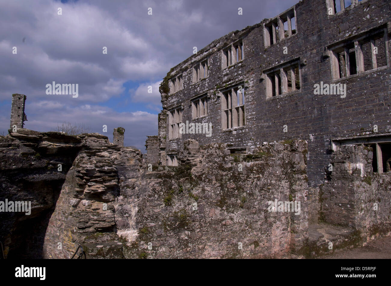 Berry Pomeroy Castle, nahe dem Dorf Berry Pomeroy, South Devon. Stockfoto