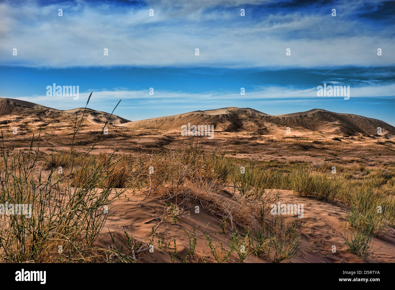 Kelso Sanddünen in Mojave National Monument mit einer schönen dramatischen Himmel im Hintergrund und Gräser im Vordergrund Stockfoto