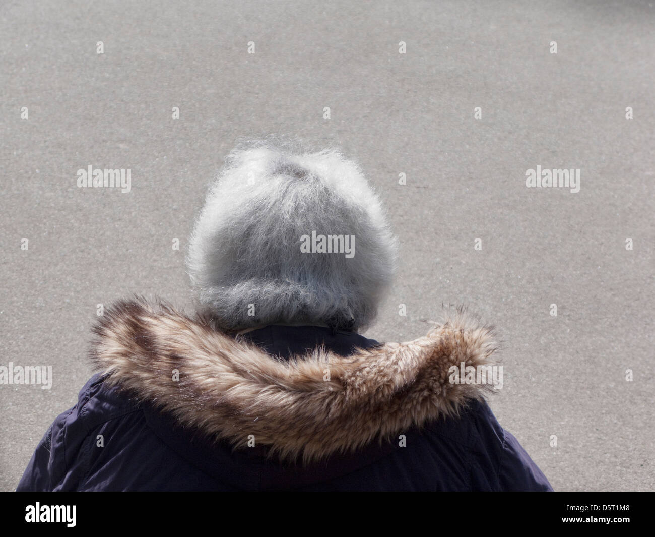 Rückansicht der Person mit grauen Haaren Stockfoto