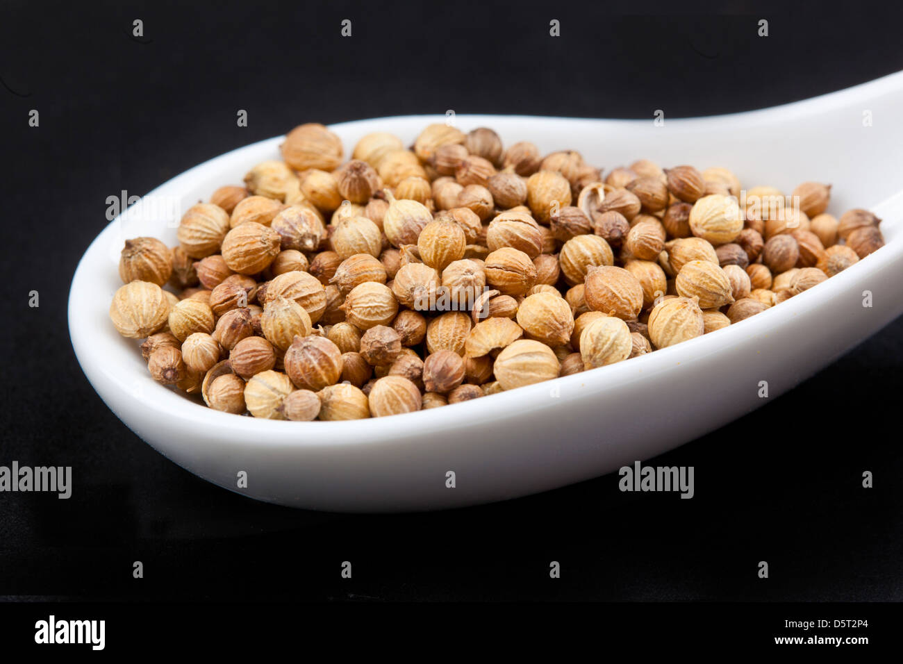 Koriander in weißen Löffel am schwarzen Tisch Stockfoto