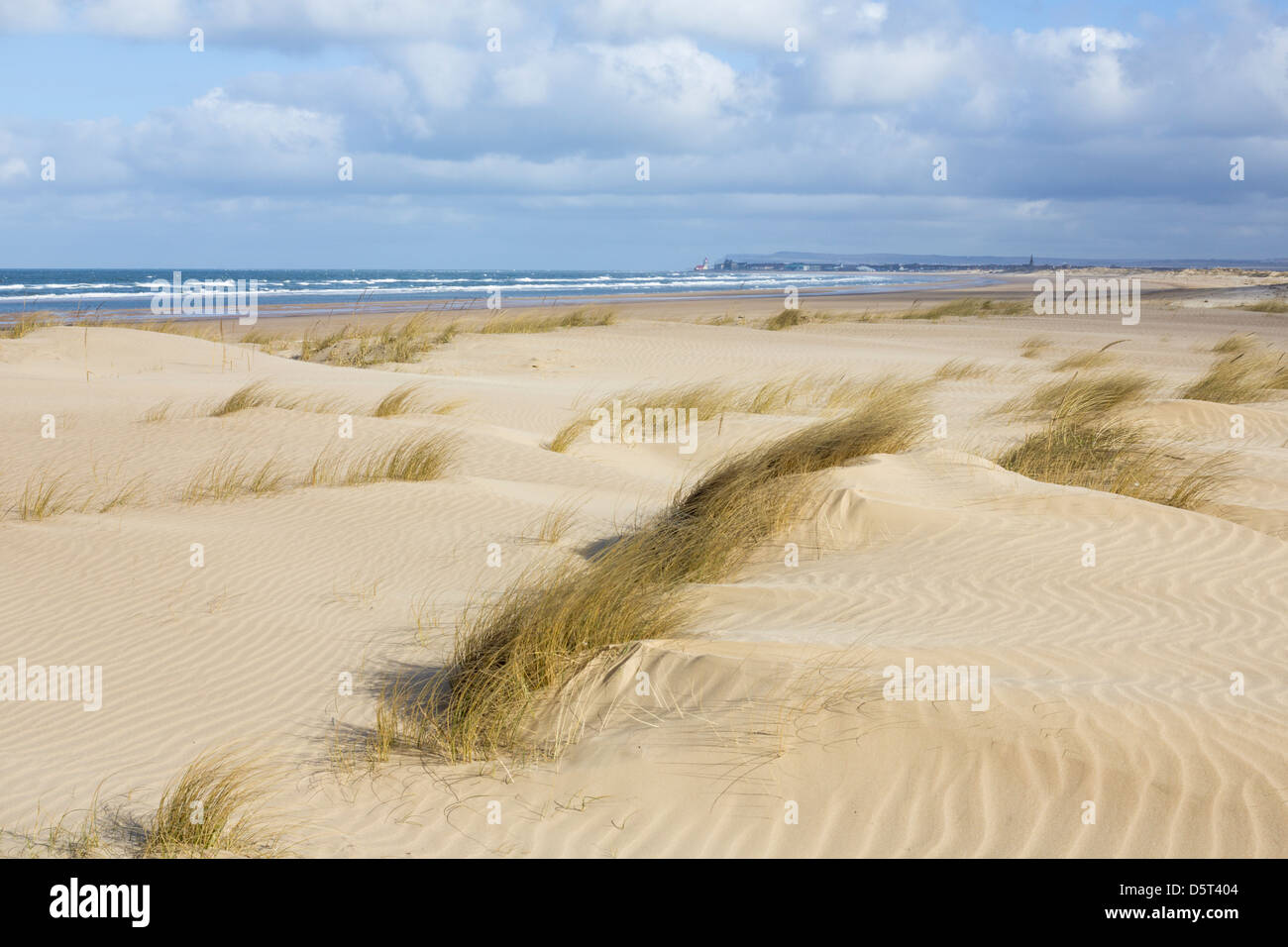 Blick Richtung Redcar von Sanddünen am Strand von Coatham. Redcar, Redcar und Cleveland, England, UK Stockfoto