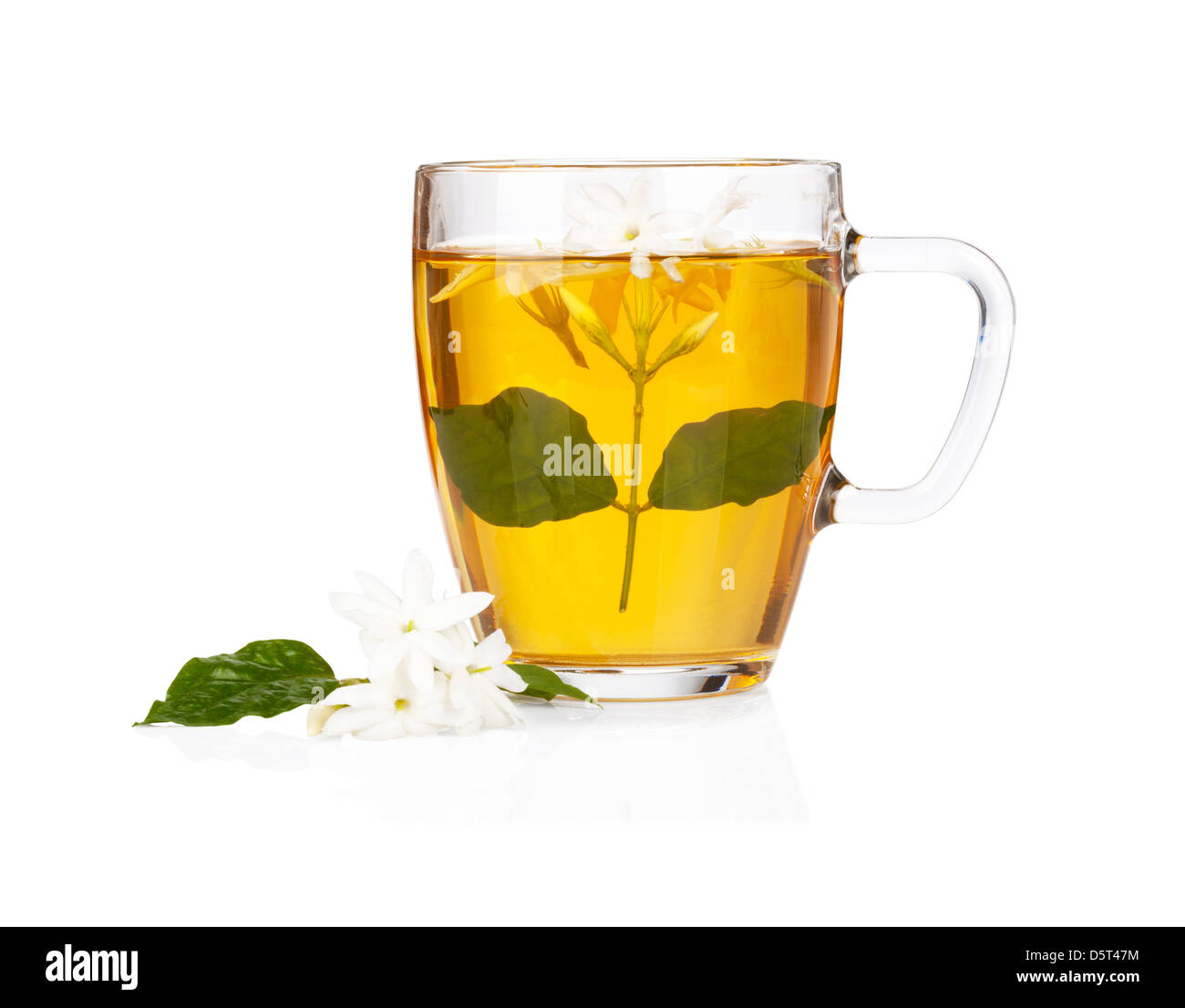 Grüner Tee mit Jasminblüten isoliert auf weißem Hintergrund Stockfoto
