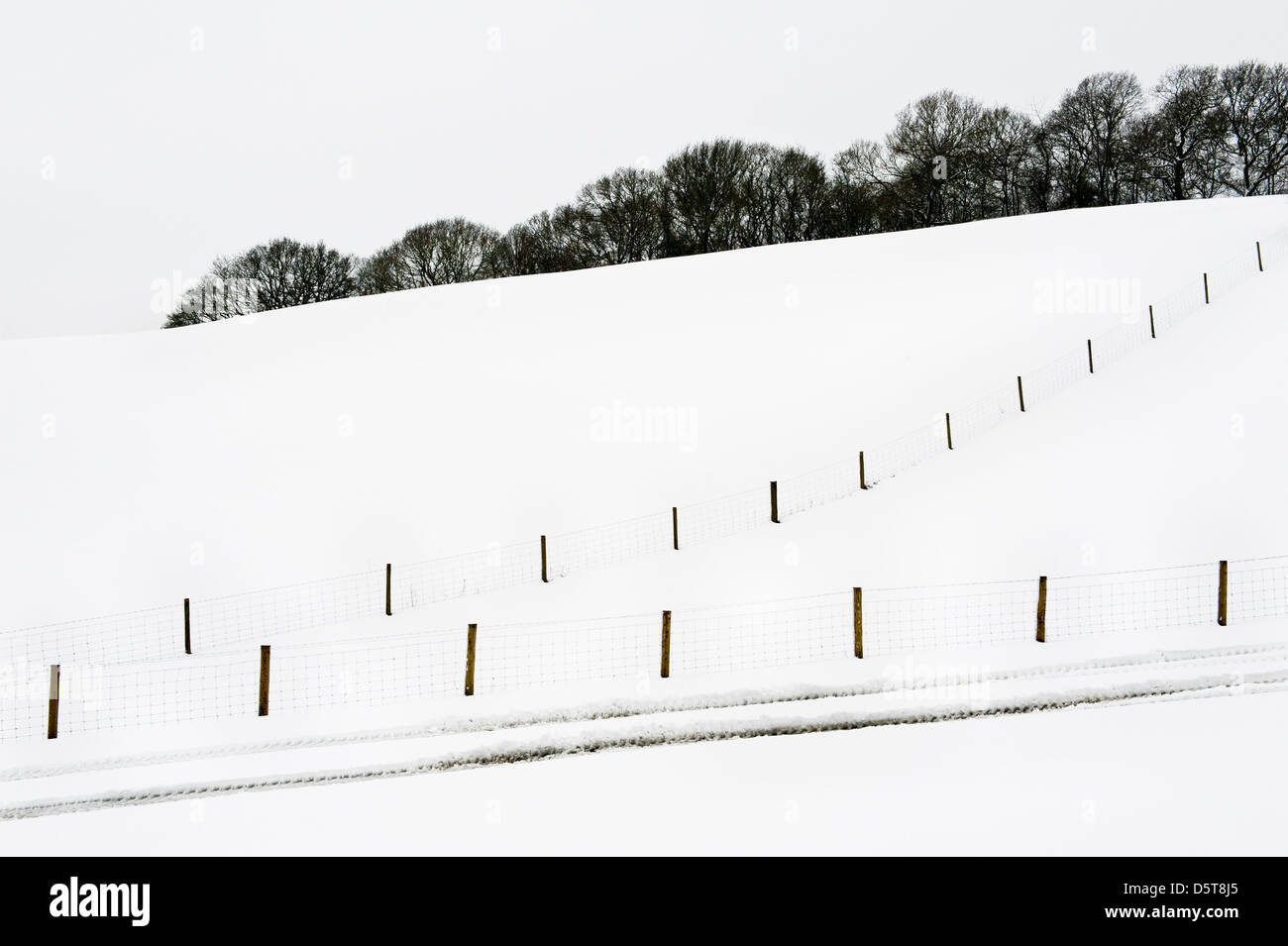 Schneebedeckte Felder und Zäune in der Mitte von Wales bilden abstrakte Muster Während des kalten Frühlings 2013 in Großbritannien Stockfoto