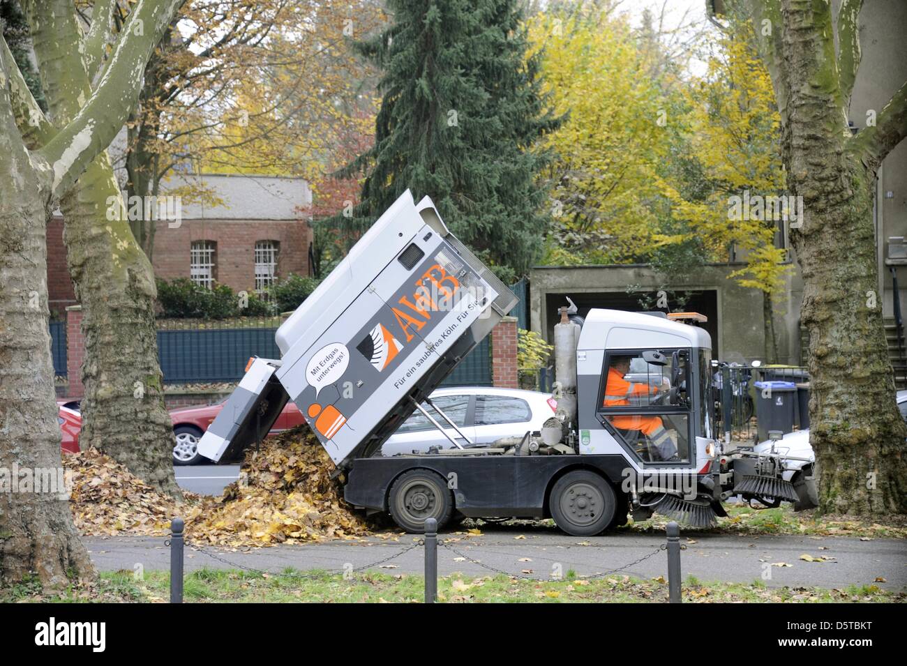Ein Kölner Waste Management Fahrzeug (AWB) Deponien aus einem Stapel von Herbstlaub in Köln, Deutschland, 18. November 2012. Foto: Horst Galuschka Stockfoto