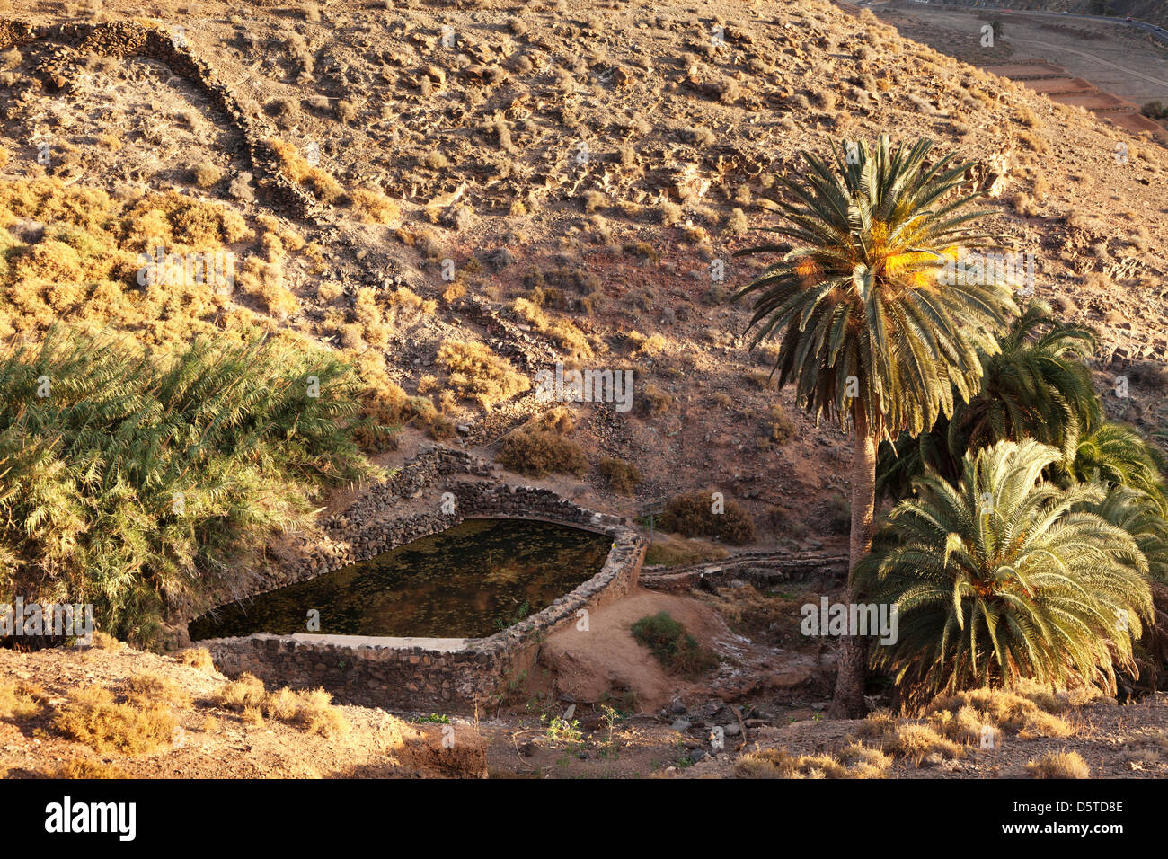 Barranco De La Madre de Agua, in der Nähe von Ajuy, Fuerteventura, Kanarische Inseln, Spanien Stockfoto