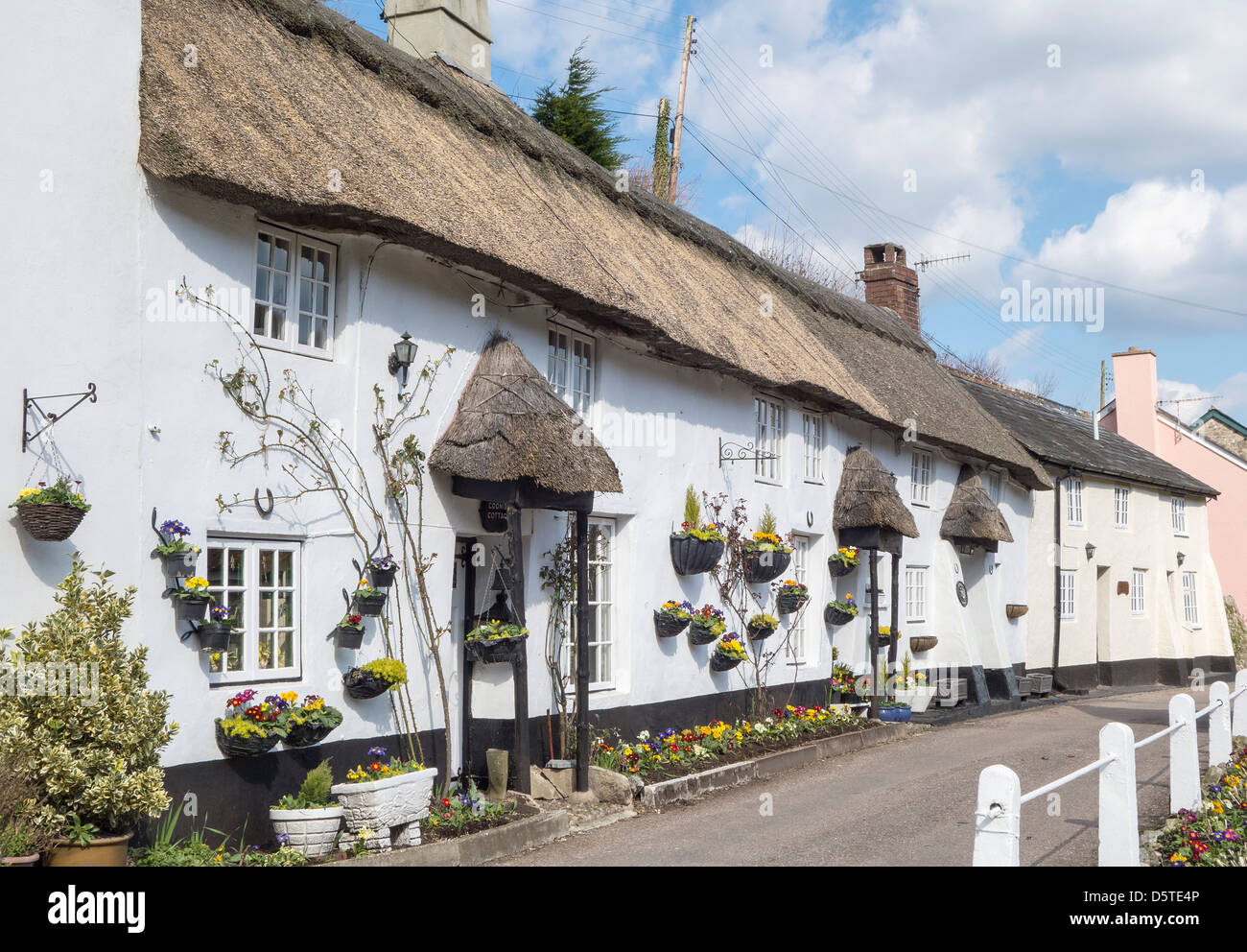 Branscombe Dorf, strohgedeckten Hütten, Devon, England, UK. Europa Stockfoto