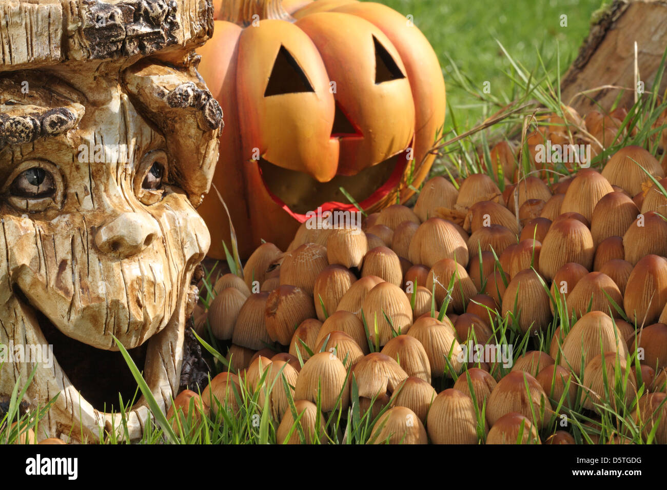 Halloween-Dekoration mit Kürbis und Tree Stump. Stockfoto