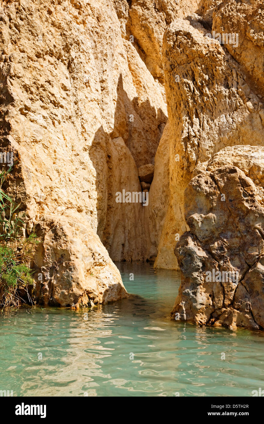 Sahara oase wasser Stockfotos und bilder Kaufen Alamy