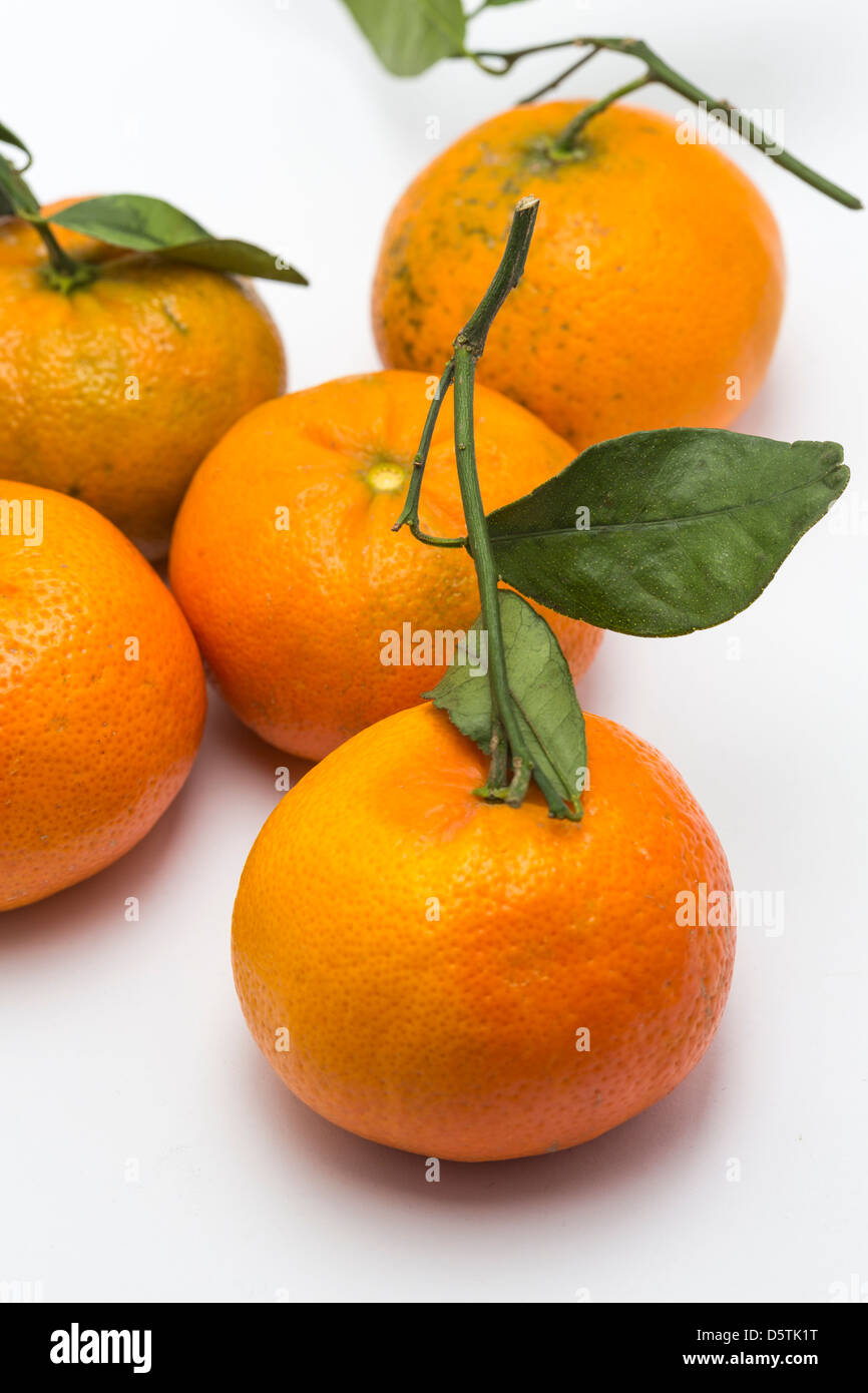Mandarinen mit Blättern auf einfarbigen Hintergrund Stockfoto