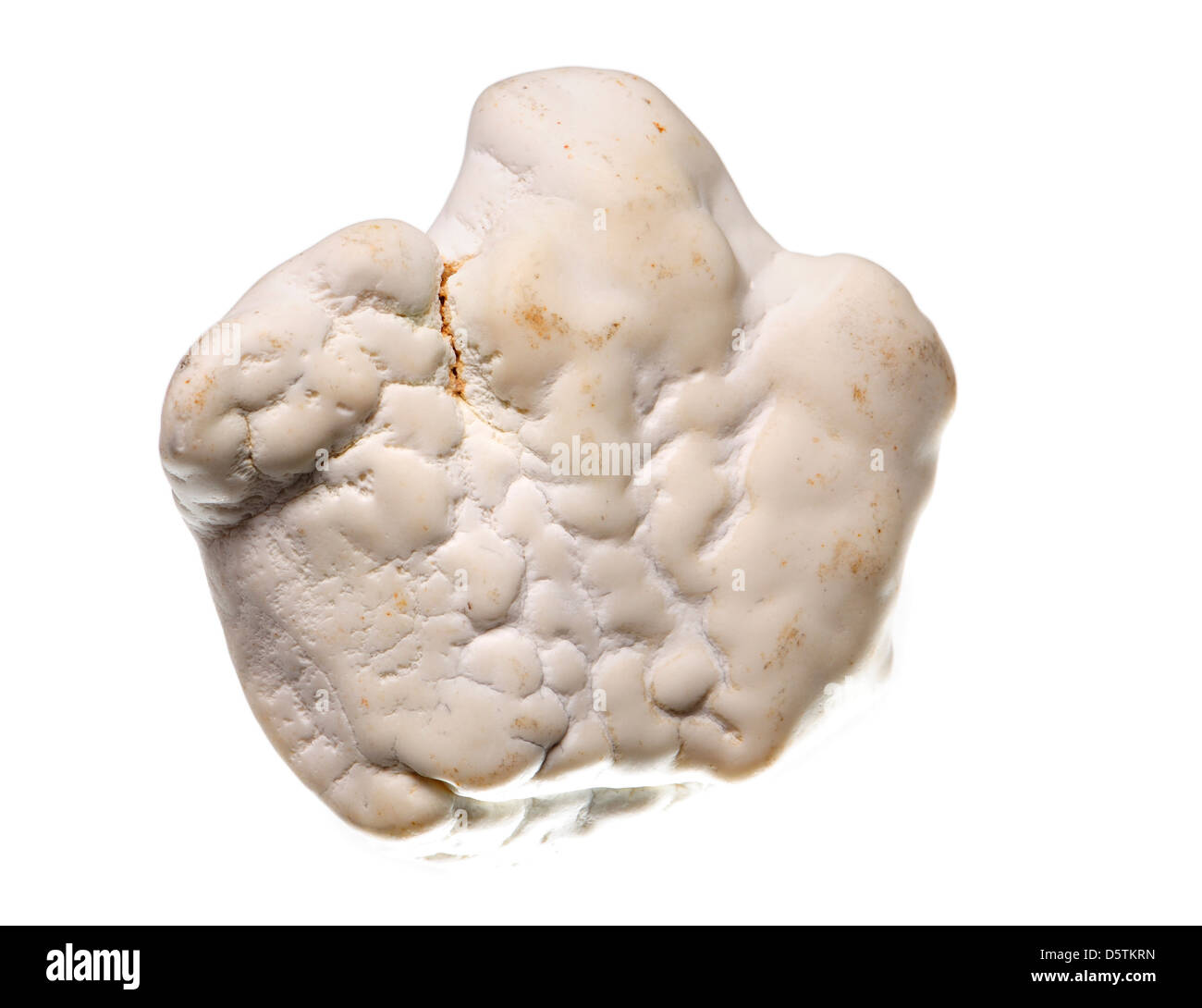Weißen Magnesit (Magnesiumcarbonat Stockfotografie Alamy