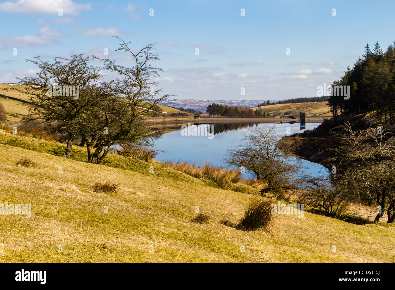 Ogden Clough Reservoir reflektiert einen schönen Tag, Lancashire, Wald von Bowland Stockfoto