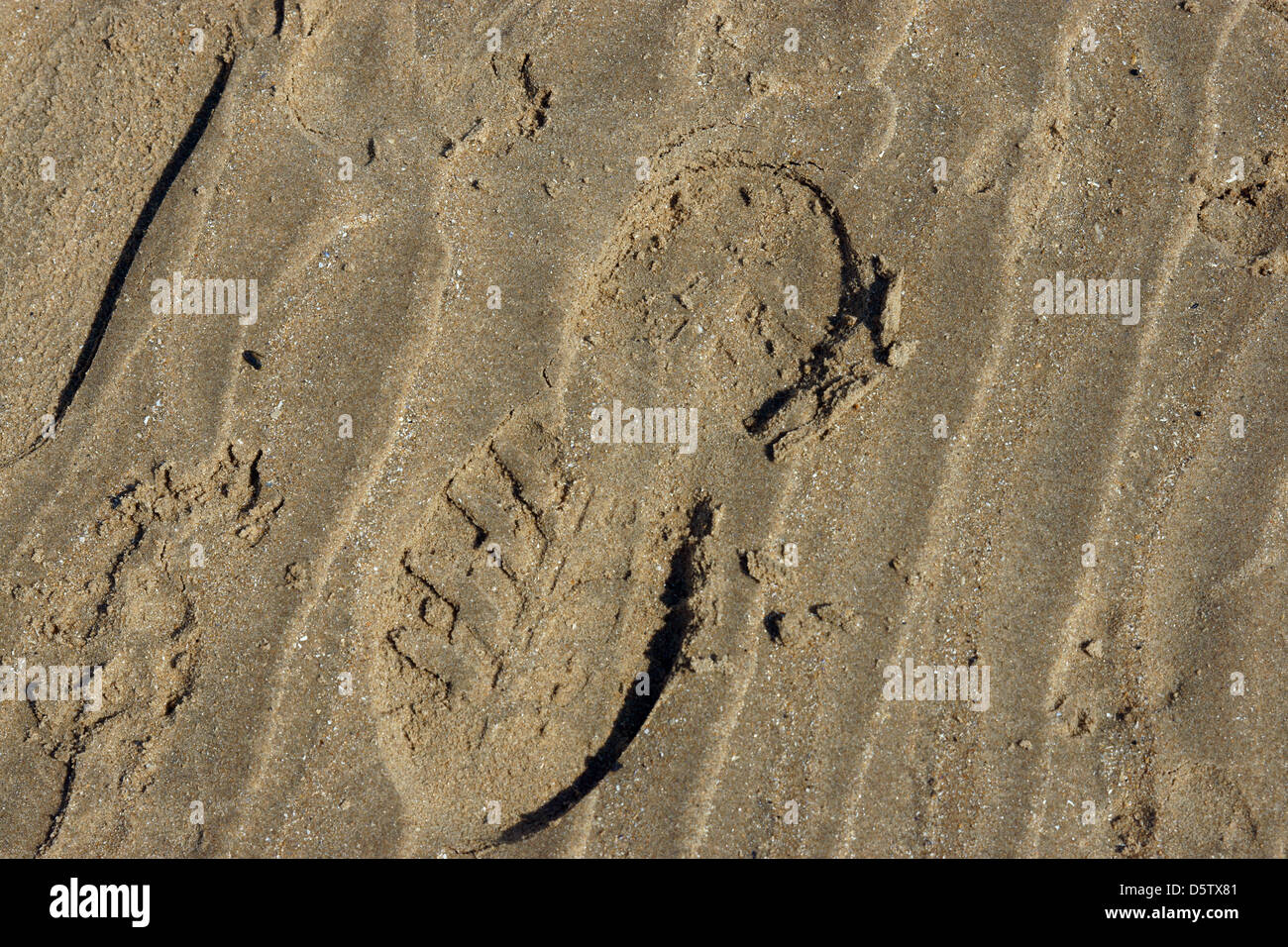 Schuh-print tropischen Sand Ridge Wassereffekten Stockfoto