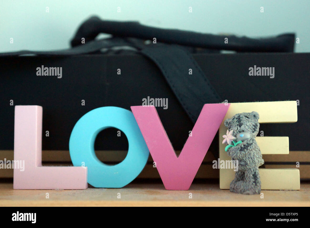 Liebe Teddybär Multi Farbe Kasten Regal Blume Armband Stockfoto