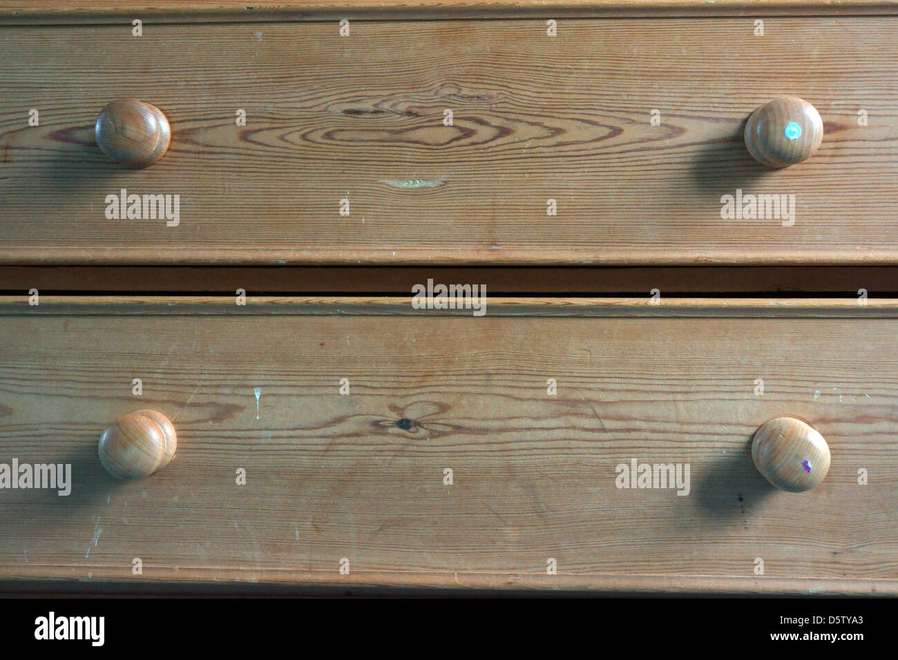 Eiche zieht Baum Alter Ringe Griffe Aufkleber natürliche Stockfoto