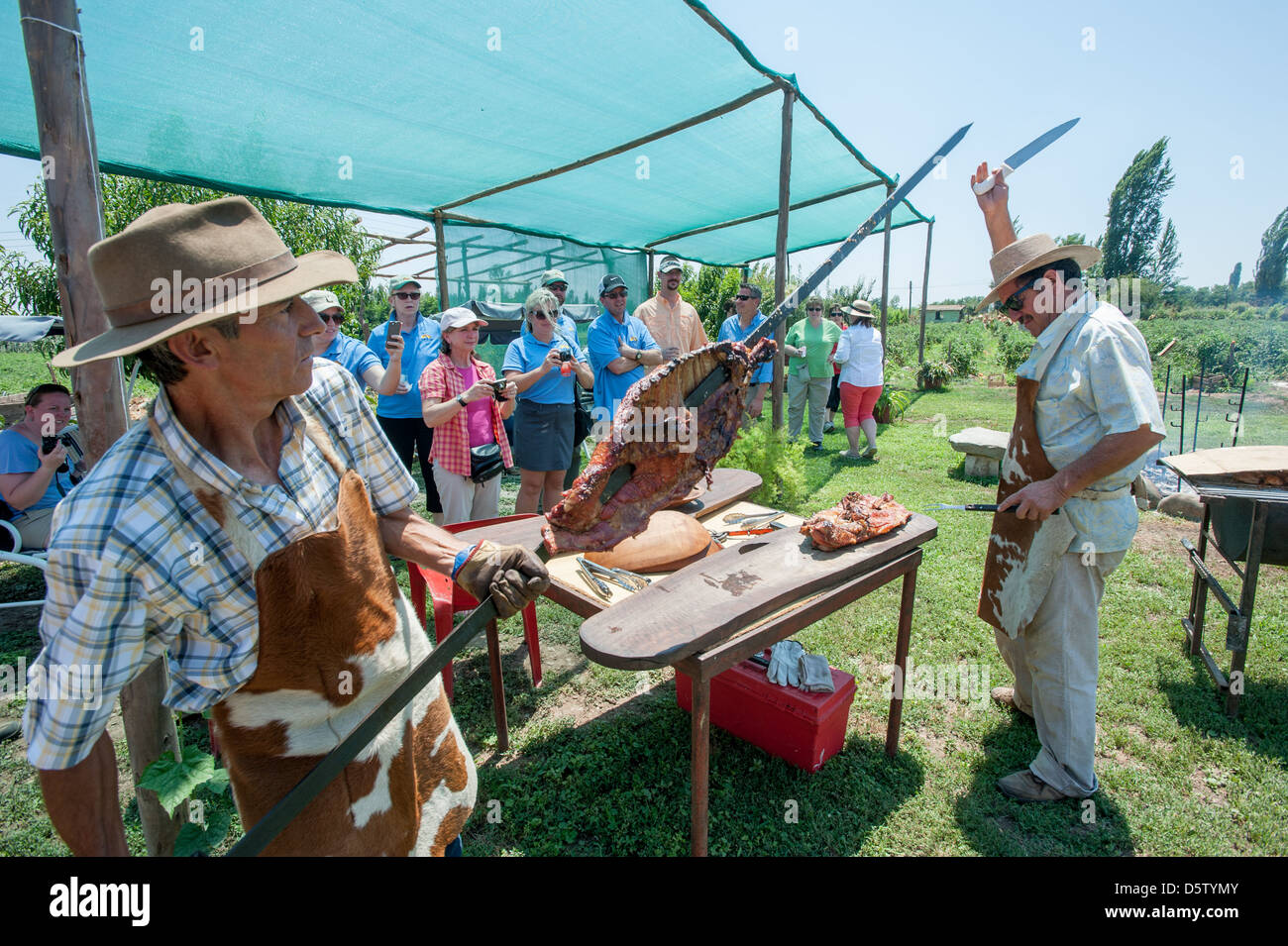 Braten von Schwein am Spieß auf einem Bauernhof in Rancagua, Chile Stockfoto