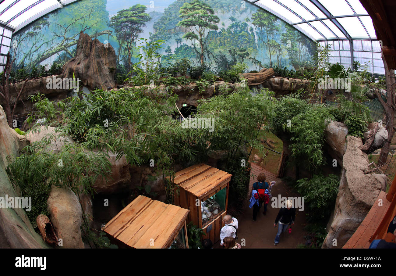 Besuchern stehen in der Ausstellung des neuen Darwineum im Zoo Rostock, Deutschland, 5. Oktober 2012. Rund 65.000 Menschen besuchten das Darwineum in den ersten vier Wochen nach seiner Eröffnung. Gorillas, Orang-Utans und Lemuren haben ein neues Zuhause in das Darwineum, das 29 Millionen Euro gekostet und hat eine Fläche von 20.000 Quadratmetern. Foto: Jens Büttner Stockfoto