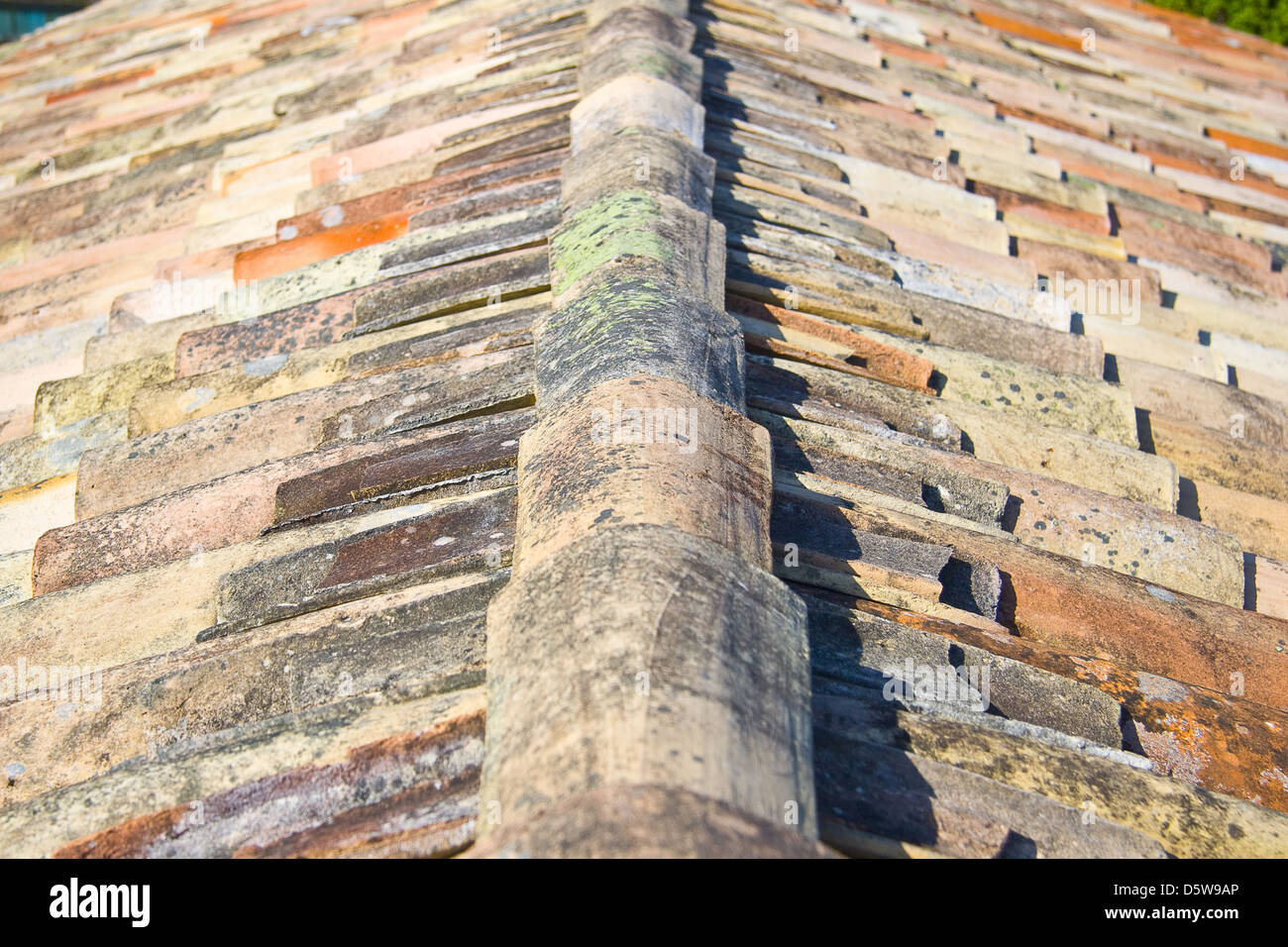 Haus-Ziegel-Dach Stockfoto