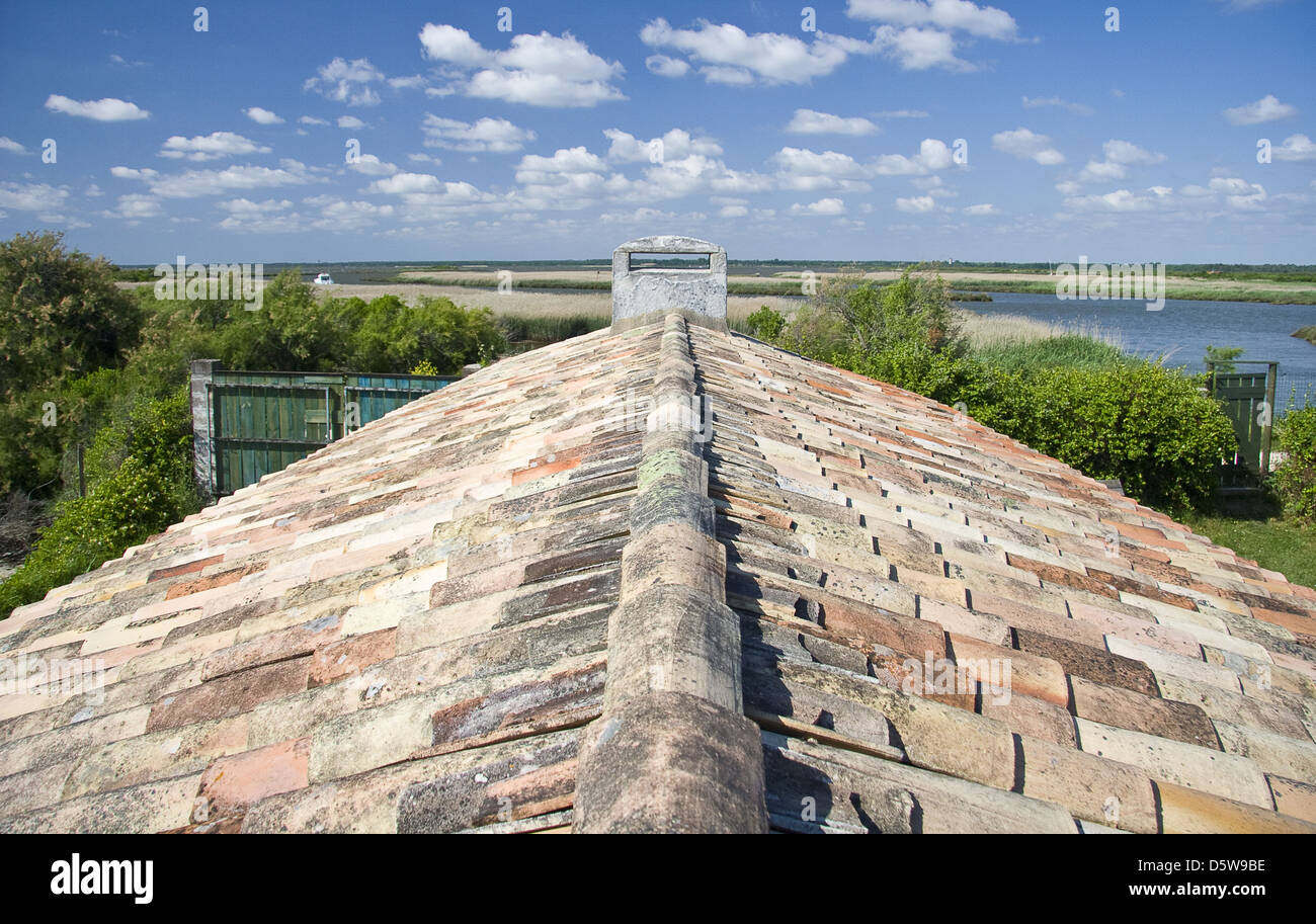 Haus-Ziegel-Dach Stockfoto