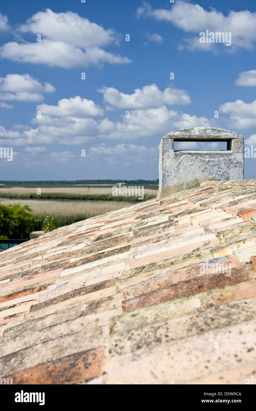 Haus-Ziegel-Dach Stockfoto
