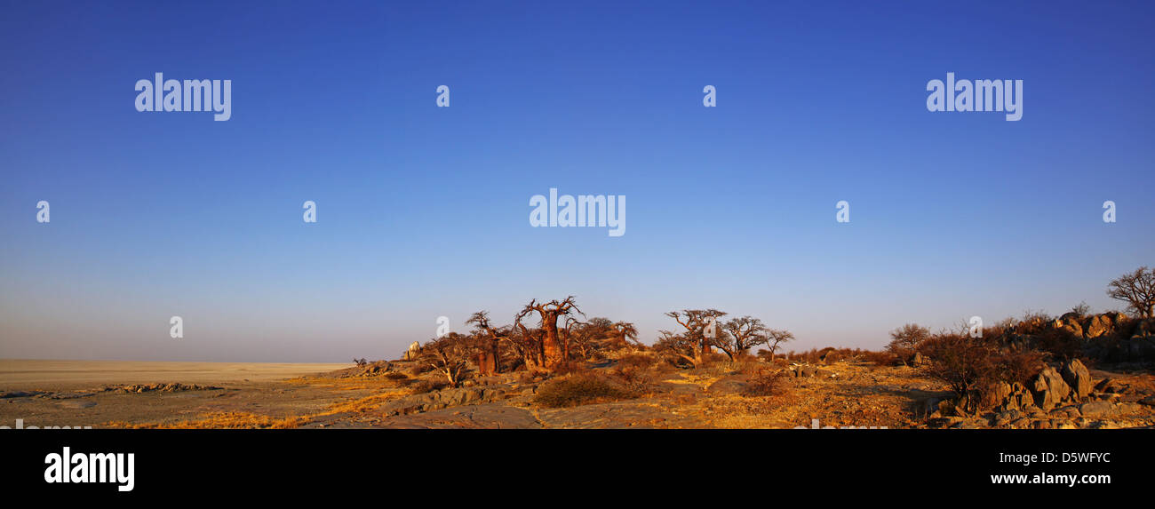 Lekhubu Insel, berühmte Kubu, Botsuana Stockfoto