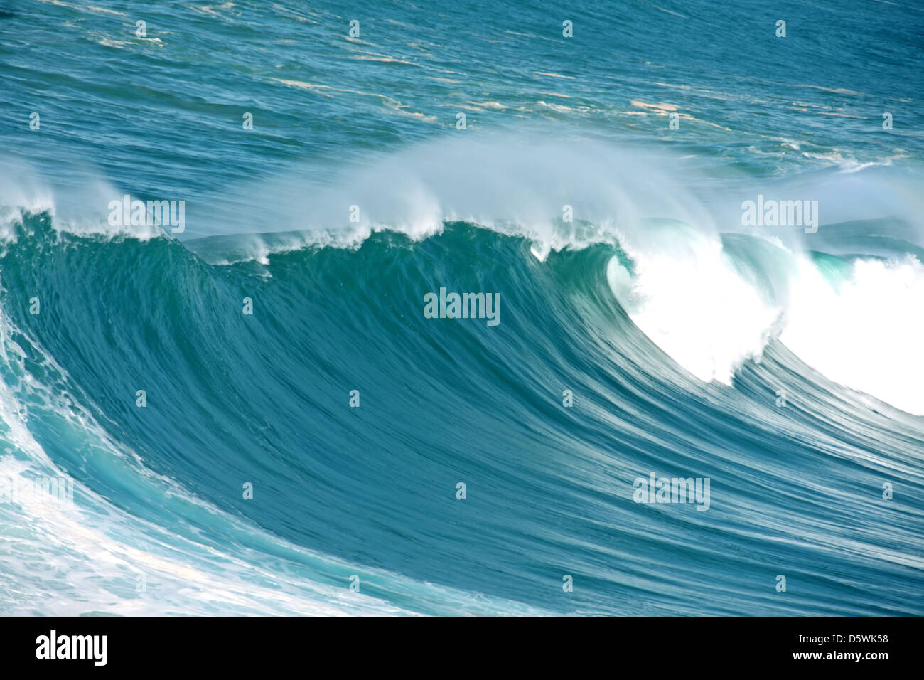 Unglaubliche Welle an der Westküste in Portugal Stockfoto