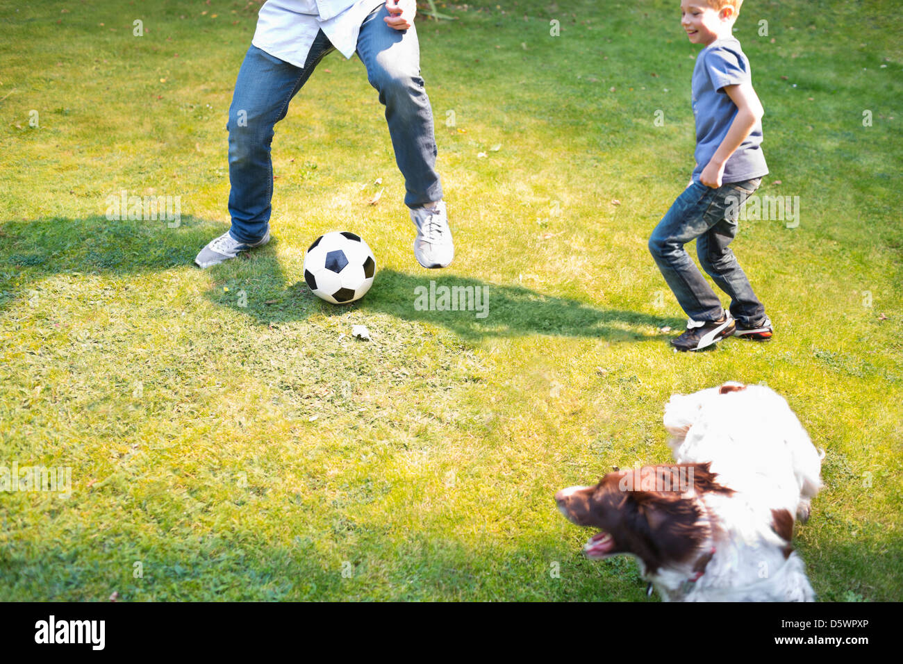 Jungen Fußball spielen mit Hund im freien Stockfoto