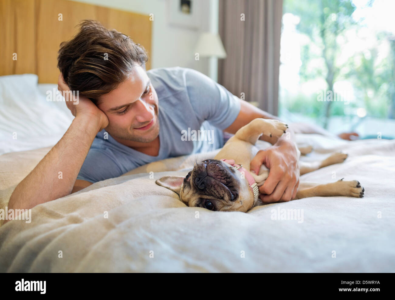 Mann Petting Hund auf Bett Stockfoto