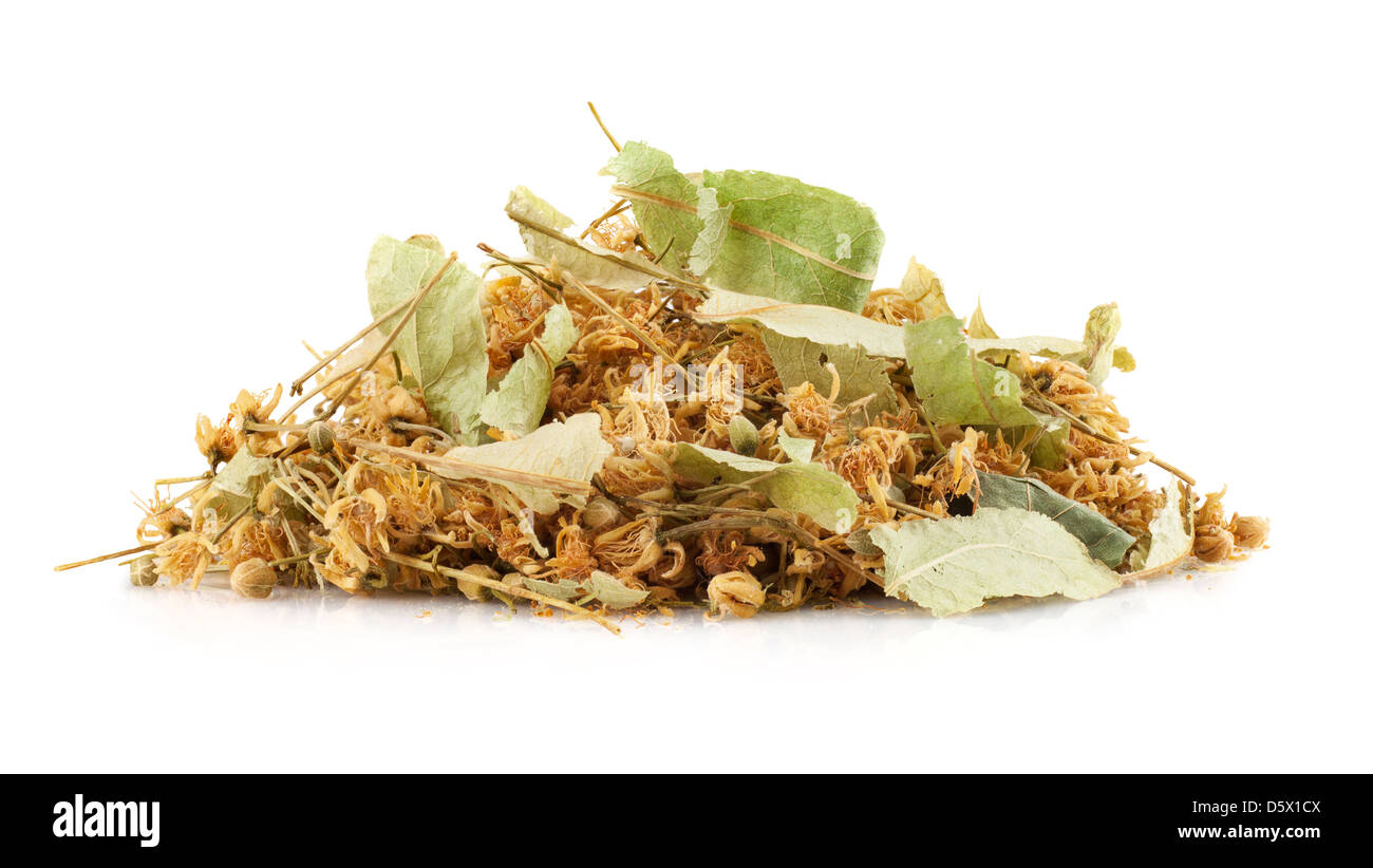 Getrocknete Lindenblüten, Isolated on White Background Stockfoto