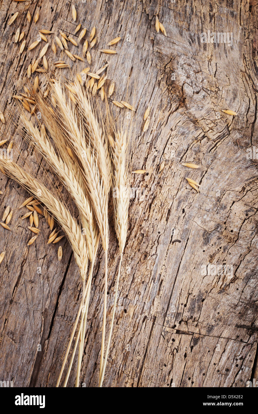 Weizen auf dem Holz Hintergrund Stockfoto