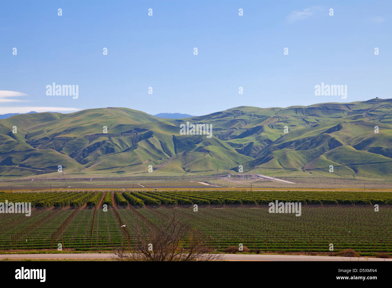 Kulturen und sanften Hügeln, San Joaquin Valley, Kern County, Kalifornien, USA Stockfoto