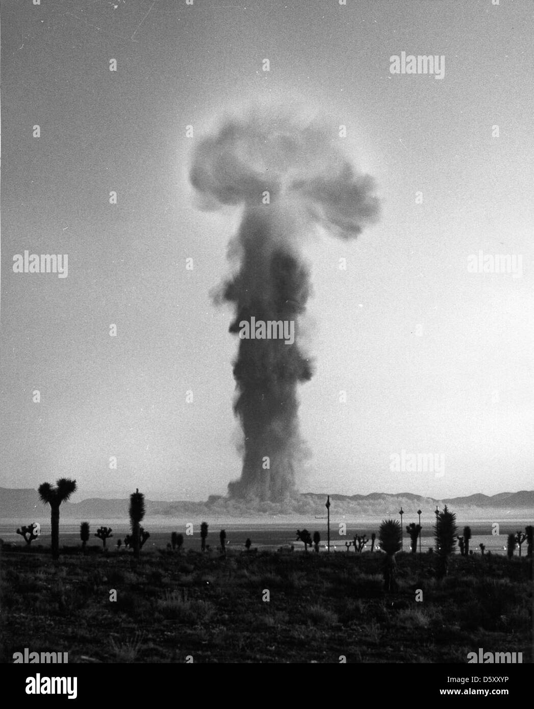 Operation Plumb Bob, eine Reihe von Atomtests, die von den Vereinigten Staaten durchgeführt wurden, beinhaltete den Shot Newton-Test am 16. September 1957. Dieser Test war Teil einer größeren Untersuchung der Auswirkungen von Atomexplosionen. Shoot Newton war eine atmosphärische Detonation und wurde auf dem Nevada Test Site durchgeführt. Stockfoto