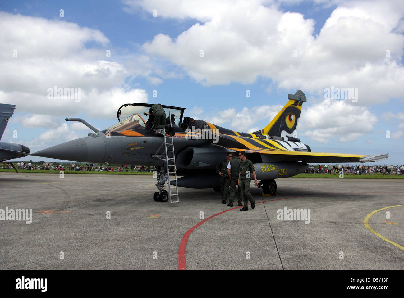 Die 'Rafale B' der französischen Luftwaffe, registrierte 330-EG, mit einer Sonderlackierung für den "Tiger Meet 2008" auf NAS Roscoff (Frankreich). Stockfoto
