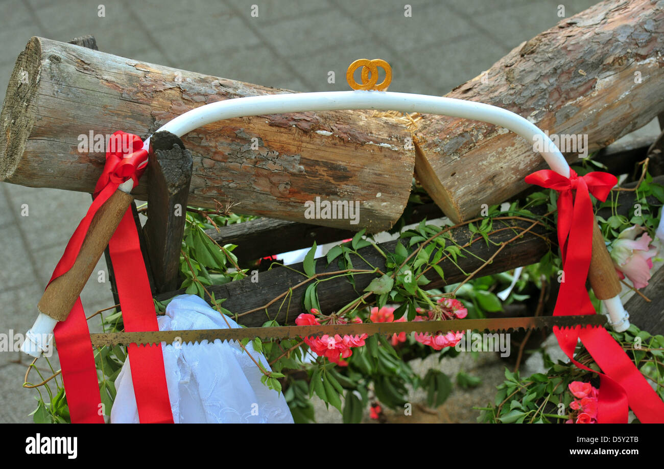 Eine Säge hängt an einem Sägebock hält einen Stamm von Holz, die die frisch Vermählten haben nur durch nach ihrer Trauung in Sieversdorf, Deutschland, 1. September 2012 gesägt. Foto: Patrick Pleul Stockfoto