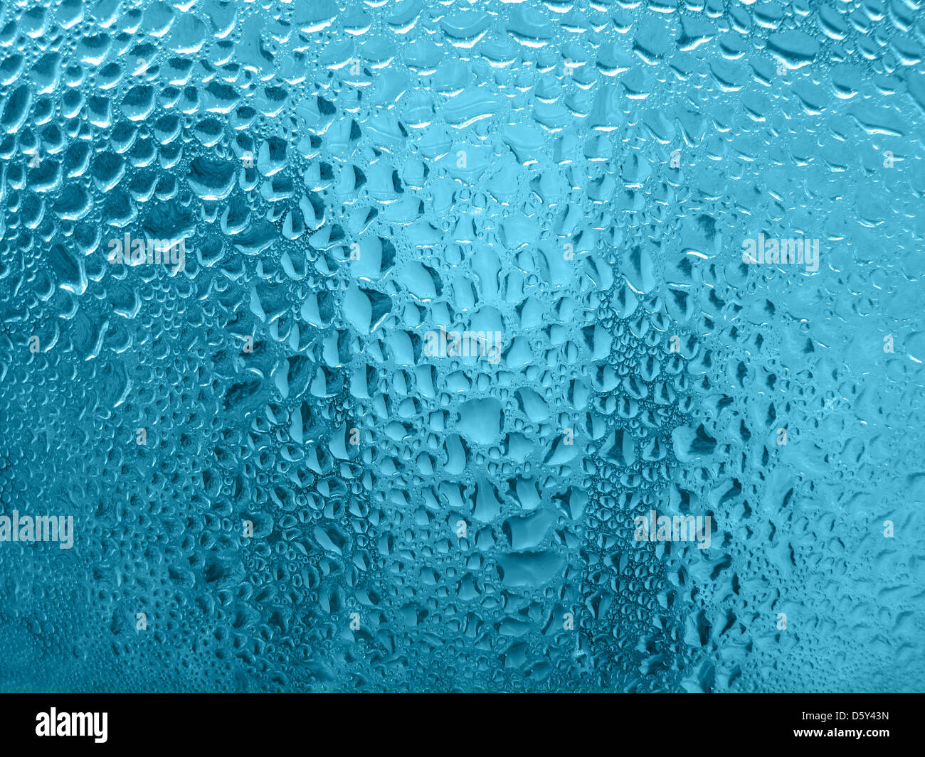 Wassertropfen auf Glas hautnah Stockfoto