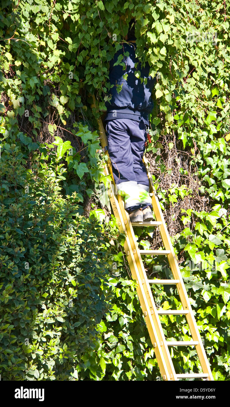 Der unsichtbare gärtner Fotos und Bildmaterial in hoher Auflösung Alamy