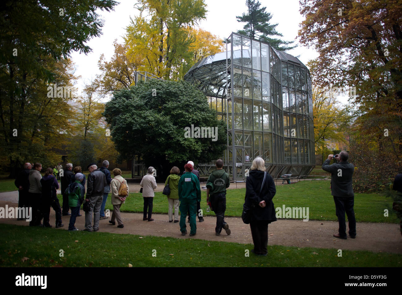 Pillnitz Camellia Stockfotos und bilder Kaufen Alamy