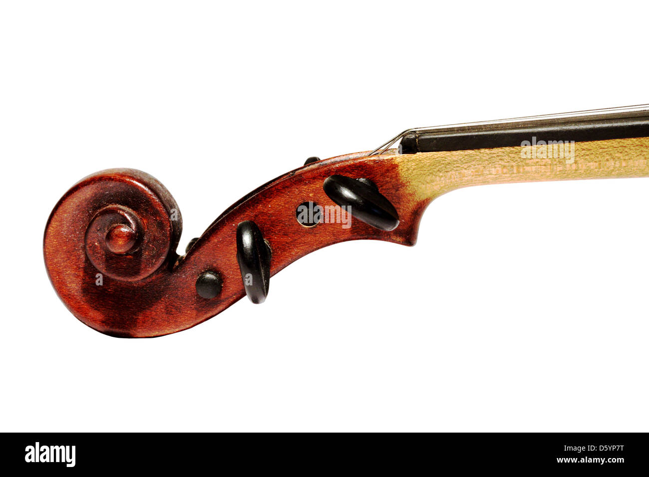 Violine-scroll Stockfoto