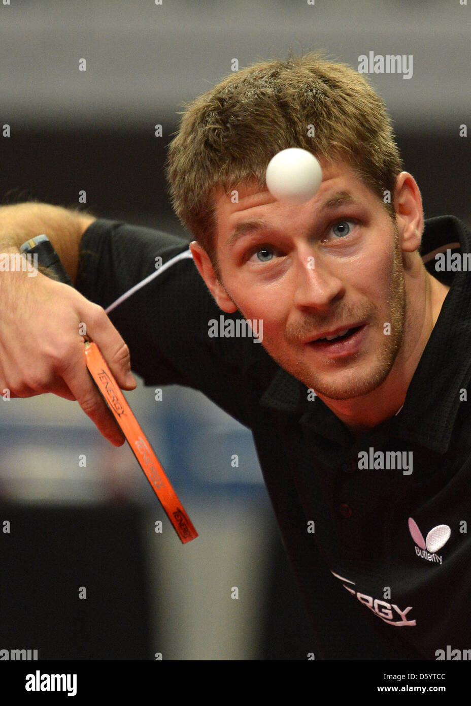 Deutschen Tischtennis-Spieler Bastian Steger spielt den Ball während des Spiels gegen Kosovski aus Polen bei den deutschen Open 2012 in Bremen, Deutschland, 2. November 2012. Rund 300 Spielerinnen und Spieler aus 42 Ländern konkurrieren um den Titel und Preisgeld Geld von mehr als 120.000 US-Dollar. Foto: CARMEN JASPERSEN Stockfoto